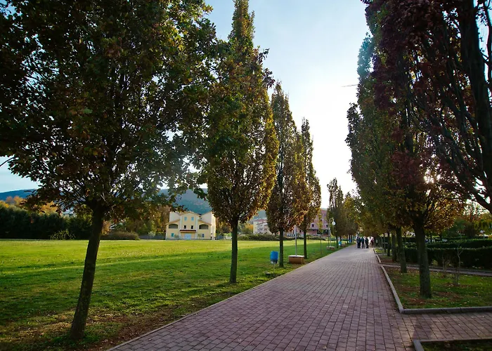 ベッド・アンド・ブレックファスト Domus Damar